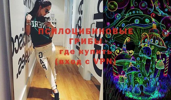МДПВ Алексеевка