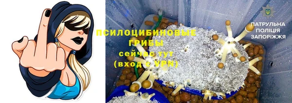 МДПВ Алексеевка
